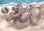 anthro ball beach belly big_belly big_breasts big_butt bikini bra breasts brown_body brown_eyes butt clothing common_hippopotamus dollylolly dreamworks female gloria_the_hippopotamus hi_res hippopotamid madagascar_(series) mammal outside pregnant sand seaside solo swimwear underwear volleyball_(ball) water