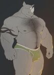 2023 2_horns anthro arm_hair arm_tattoo big_biceps big_deltoids big_pecs black_background body_hair bulge chest_hair clothed clothing deltoids facial_horn green_clothing green_underwear grey_body grey_nipples grey_skin happy_trail hi_res horn looking_at_viewer male mammal mr_nellory musclegut muscular muscular_anthro muscular_male muscular_thighs navel neck_hair nipples nose_horn obliques pecs pubes rhinoceros serratus simple_background solo tattoo triceps underwear underwear_only