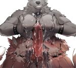 absurd_res animal_genitalia animal_penis anthro anthro_on_anthro balls big_penis blush bodily_fluids canid canine canine_genitalia canine_penis canis collar countershade_face countershade_fur countershading cum cum_on_face domestic_dog dr.kiyo erection fur genital_fluids genitals grey_body grey_fur group group_sex hi_res huge_penis knot licking male male/male mammal open_mouth open_smile oral penile penis penis_lick sex smile tail threesome tongue tongue_out trio