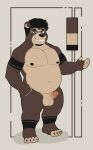 absurd_res acario acario_(artist) anthro bear genitals hi_res male mammal model_sheet penis solo spectacled_bear tremarctine