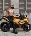 absurd_res anthro boots bottomwear canid canine clothed clothing fingerless_gloves footwear gloves handwear hi_res male mammal motorcycle muzzle_(object) muzzled pants solo topless vehicle zenonsen