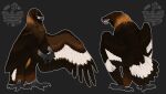 absurd_res accipitrid accipitriform ambiguous_gender anthro avian avian-king beak biped bird black_body black_feathers claws corvid corvus_(genus) eagle feathered_wings feathers hi_res hybrid open_mouth oscine passerine raven solo tongue wings