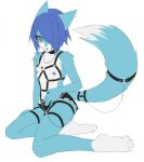 2020 anthro black_clothing black_harness black_underwear blue_ears blue_hair blue_nipples blue_tail canid canine clothed clothing countershading digital_media_(artwork) dipstick_tail full-length_portrait fur hair hair_over_eye harness hi_res kneeling leg_markings male mammal markings multicolored_body multicolored_fur nipples one_eye_obstructed portrait rofortyseven short_hair simple_background socks_(marking) solo tail tail_markings teal_eyes two_tone_body two_tone_fur underwear white_background white_body white_countershading white_fur white_tail_tip