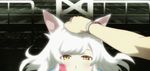  animal_ears animated animated_gif araragi_koyomi bakemonogatari black_hanekawa cat_ears hanekawa_tsubasa looking_at_viewer lowres monogatari_(series) petting pov white_hair yellow_eyes 