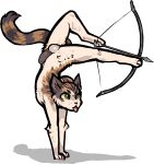 alpha_channel anthro arrow_(weapon) balls biped bow_(weapon) domestic_cat felid feline felis fur genitals holding_object holding_weapon humanoid_genitalia humanoid_penis jam_(artist) male mammal nude penis ranged_weapon simple_background solo tail tongue tongue_out transparent_background weapon