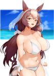  1girl animal_ears arms_at_sides bikini blue_sky breasts brown_eyes brown_hair cleavage clenched_hands cloud collarbone commission covered_nipples day effort_star hair_ribbon highres horse_ears horse_girl horse_tail large_breasts long_hair multicolored_hair ocean open_mouth outdoors ribbon sarong see-through_sarong simple_background sky smile solo standing swimsuit tail teeth two-tone_hair umamusume upper_teeth_only veil very_long_hair white_background white_bikini white_hair yamanin_zephyr_(umamusume) 