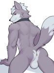 2024 anthro anus backsack balls canid canine canis collar collar_only fur genitals grey_body grey_fur hair hi_res jrjresq looking_at_viewer looking_back male mammal nintendo nude presenting solo star_fox tail wolf wolf_o&#039;donnell