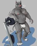 american_pit_bull_terrier anthro barbell belly big_muscles bodily_fluids body_hair canid canine canis chest_hair clawed_fingers claws clothed clothing cum domestic_dog genital_fluids gym_pals hairy hi_res hunting_dog jockstrap jockstrap_only leaking_cum leaking_precum looking_at_viewer male mammal moobs musclegut muscular musk musk_clouds nipples pit_bull precum sheenie solo stocky sweat sweatdrop terrier toe_claws topless underwear underwear_only vain vains weights