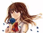  blue_flower blue_rose brown_hair flower ib ib_(ib) kumo_(dc12365489123) petals red_eyes rose solo tears 