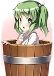  blush bucket green_eyes green_hair hair_bobbles hair_ornament kisume nakamura_kusata open_mouth short_hair solo touhou twintails wooden_bucket 