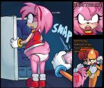 2025 amy_rose anthro appliance belly brown_body brown_fur camera clothing dress duo eulipotyphlan female fridge fur gloves gummyfruitcup hair handwear hedgehog hi_res inside kitchen_appliance mammal overweight panties pink_body red_clothing red_dress red_hair sally_acorn sega sonic_the_hedgehog_(series) underwear