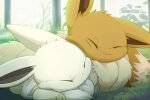  alternate_color animal_focus brown_fur closed_eyes cuddling eevee eevee_ears fluffy forest grass highres hirochanu0807 lying nature no_humans on_grass outdoors pokemon pokemon_(creature) pokemon_ears shiny_pokemon sleeping tail 