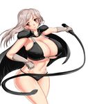  1girl blush breasts brown_eyes cape cleavage female gloves grey_hair huge_breasts iro_zu long_hair navel panties smile thighs underwear whip 