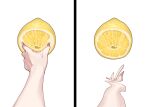  anatomical_nonsense food fruit grabbing hand_focus highres juice lemon meme original pov pov_cheek_grabbing_(meme) pov_hands sechi_(sechihyeo) simple_background solo squeezing thour_(meme) white_background 
