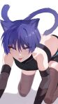  1boy :p absurdres animal_ears ass back black_shirt black_shorts brown_sleeves brown_thighhighs cat_boy cat_ears cat_tail chobonu crop_top genshin_impact hair_between_eyes highres looking_at_viewer male_focus purple_eyes purple_hair purple_tail scaramouche_(genshin_impact) shirt short_hair shorts smile solo tail thighhighs tongue tongue_out white_background 