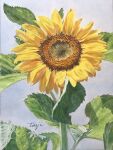  branch eyvzi172xqdkvs7 flower flower_focus highres leaf no_humans original painting_(medium) plant plant_focus realistic stamen still_life sunflower traditional_media watercolor_(medium) yellow_flower 