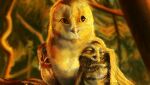 absurd_res avian barn_owl bird brown_body brown_feathers digger_(gogh) eyes_closed feathers female feral group guardians_of_ga&#039;hoole gylfie hi_res holymoon male owl size_difference soren_(gogh) trio tyto tytonid white_body white_feathers yellow_eyes