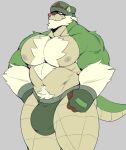 2024 absurd_res anthro anthrofied arm_tuft armpit_hair barazoku beard big_bulge biped body_hair bonnet brown_ears brown_face brown_fingers bulge castrodour chesnaught chest_hair chest_tuft closed_smile clothing countershade_arms countershade_tail countershading cute_fangs digital_drawing_(artwork) digital_media_(artwork) eyes_closed facial_hair fangs fingerless_gloves fingers generation_6_pokemon gloves green_arms green_bonnet green_clothing green_fingerless_gloves green_gloves green_hands green_handwear green_headgear green_headwear green_tail green_underwear hand_on_hip hand_on_own_hip handwear happy hat headgear headwear hi_res humanoid_hands inner_ear_fluff male mammal mouth_closed muscular muscular_anthro muscular_male navel nintendo nipples pecs pink_nose pokemon pokemon_(species) pokemorph pubes simple_background smile snaggle_teeth snaggle_tooth solo standing tail tan_body tan_chest tan_face tan_legs tan_neck tan_tail teeth tuft two_tone_arms two_tone_face two_tone_tail underwear white_armpit_hair white_arms white_beard white_chest_hair white_facial_hair white_tuft