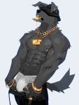  2024 abs anthro areola barazoku biceps big_bulge big_muscles bling bottomwear bottomwear_down bracelet briefs bulge canid canine canis chain chain_bracelet chain_necklace claws clothed clothing domestic_dog ear_piercing ear_ring fur gold_(metal) gold_jewelry gold_piercing grey_background hat headgear headwear hi_res jewelry lens_flare male mammal muscular muscular_anthro muscular_male navel necklace nipple_piercing nipple_ring nipples nomifuki pants pants_down partially_clothed pecs piercing ring_(jewelry) ring_piercing simple_background solo standing teeth topless topless_anthro topless_male tuft underwear unzipped vein zipper 