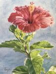  branch eyvzi172xqdkvs7 flower flower_focus highres leaf no_humans original painting_(medium) plant plant_focus realistic red_flower stamen still_life traditional_media watercolor_(medium) 