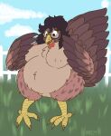  after_transformation avian bird chicken galliform gallus_(genus) hi_res livestock overweight phasianid pregnant run_rabbit_bounce transformation 
