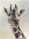  animal animal_focus artist_name eyvzi172xqdkvs7 giraffe highres looking_at_viewer no_humans original painting_(medium) portrait realistic signature traditional_media watercolor_(medium) 