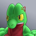  absurd_res angry generation_3_pokemon hi_res male max_the_grovyle muscular muscular_male nintendo pokemon pokemon_(species) solo treecko 