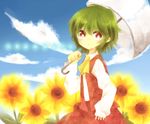  bad_id bad_pixiv_id flower green_hair kazami_yuuka parimu red_eyes solo summer sunflower touhou umbrella 