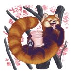  ailurid ambiguous_gender cake cherry_blossom eating eyes_closed faellin feral fluffy food hindpaw mammal open_mouth pawpads paws plant red_panda solo 