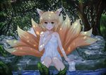  animal_ears bad_id bad_pixiv_id blonde_hair collarbone fox_ears fox_tail naked_towel sitting soaking_feet solo tail touhou towel tree_shade water white_crow yakumo_ran yellow_eyes 