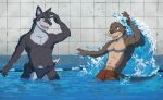 anthro black_body black_fur black_nose brown_body brown_fur canid canine cel_shading clothing detailed_background digital_drawing_(artwork) digital_media_(artwork) duo fox fur green_eyes grey_body grey_fur humanoid_hands inside kory_hedley male mammal muscular muscular_male mustelid narrowed_eyes navel one_eye_closed open_mouth open_smile otter partially_submerged pecs purple_eyes samaki_roden shaded smile speedo splash standing_in_water swimming_pool swimming_trunks swimwear tail tan_body tan_fur teeth tongue viruleince waterways whisker_spots whiskers