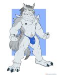 3_toes 5_fingers abs anthro artist_name bandai_namco biceps big_muscles biped blue_clothing blue_underwear bulge canid canine canis claws clothed clothed_anthro clothed_male clothing digimon digimon_(species) digital_drawing_(artwork) digital_media_(artwork) feet finger_claws fingers fist flexing full-length_portrait fur genitals grey_body grey_fur hi_res humanoid_genitalia humanoid_hands humanoid_penis male male_anthro mammal muscular muscular_anthro muscular_male navel nipples patreon patreon_logo patreon_username pecs penis penis_base plantigrade portrait pubes simple_background solo spelunker_sal standing tail teeth text three-quarter_view toe_claws toes topless topless_anthro topless_male underwear underwear_only weregarurumon wolf yellow_eyes yellow_sclera
