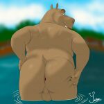 5_fingers anthro anus backsack balls barazoku big_butt body_hair brown_body brown_eyebrows butt butt_hair common_hippopotamus dreamworks english_description eyebrows fingernails fingers genitals half-closed_eyes hi_res hippopotamid looking_back madagascar_(series) male mammal moto_moto nails narrowed_eyes outside partially_submerged rear_view small_tail solo tail thick_eyebrows yetsu