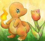  animal_focus attopikatyu black_eyes charmander claws closed_mouth commentary_request fang fire flame-tipped_tail flower full_body gradient_background looking_at_flowers no_humans pink_flower pokemon pokemon_(creature) solo tail tulip 