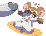 anus bodily_fluids brown_body brown_fur cricetid cum cum_on_face duo extreme_size_difference female female_feral female_focus feral fur genital_fluids genitals hamster hamtaro_(series) heart_symbol hi_res humanoid_genitalia humanoid_penis lying mammal mincheeto on_back penis plump_labia rodent size_difference solo_focus sparkle_(hamtaro) spread_legs spreading vulva white_body white_fur