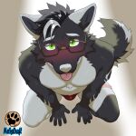 anthro black_hair blush bulge canid canine canis clothing eyewear glasses good_boy hair hi_res male mammal netiscraft shy solo tongue tongue_out underwear wolf