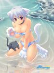  animal_ears bikini blush breasts cat cat_ears cat_paws cat_tail cleavage collar duplicate kuroneko_sakon large_breasts miss_surfersparadise original paws purple_eyes short_hair sitting smile solo swimsuit tail water watermark 