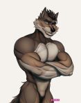 absurd_res anthro blue_eyes brown_body canid canine canis crossed_arms darius_ironspine edbwolf hi_res looking_at_viewer male mammal muscular muscular_male scar smile solo wolf
