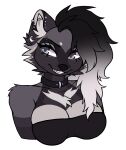 alternative_fashion angelbite_piercing anthro asymmetrical_hair berketex big_breasts black_body black_clothing black_collar black_fur black_markings black_topwear blue_eyes breasts bust_portrait canid canine canis cheek_tuft clothing collar ear_piercing eyebrow_piercing facial_piercing facial_tuft fangs female fur gradient_hair grey_body grey_fur grey_markings hair hair_to_side happy heterochromia hi_res industrial_piercing inner_ear_fluff lip_piercing looking_aside mammal markings multiple_piercings piercing portrait purple_eyes smile solo teeth topwear tube_top tuft wolf