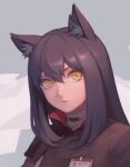  1girl animal_ear_fluff animal_ears arknights bei_ju_luoxuan_wan black_hair chinese_commentary commentary_request expressionless long_hair lowres portrait solo texas_(arknights) turtleneck wolf_ears wolf_girl yellow_eyes 