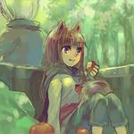  1girl ame_yamori animal_ears apple back-to-back craft_lawrence eating food fruit holo long_hair lowres oekaki sitting smile spice_and_wolf tail wolf_ears 