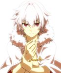  cape commentary_request fate/apocrypha fate_(series) fur_trim male_focus red_eyes sieg_(fate/apocrypha) solo white_hair woodrice 