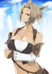 animal_ears armor asanuma bad_id bad_pixiv_id bag blush breast_hold breasts brown_eyes brown_hair buckle cat_ears character_request cleavage facial_mark final_fantasy final_fantasy_xiv frown large_breasts lips midriff miqo'te navel pouch short_hair shoulder_bag solo tan wavy_mouth yellow_eyes 