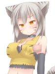  animal_ears brown_hair cat_ears cat_tail censored facial_mark long_hair nightmare_cat penis pixiv_mahou_gakuen tail yellow_eyes 