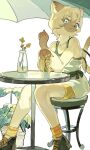  1girl :3 animal_ear_fluff animal_ears aqua_eyes bare_shoulders black_shoes blue_shirt body_fur brown_fur can cat_ears cat_girl cat_tail chinese_commentary closed_mouth collarbone commentary_request cross-laced_shoes drink drink_can furry furry_female hands_up happy highres knees_together_feet_apart looking_at_viewer magiace on_chair orange_socks original patio_umbrella plant potted_plant shirt shoes short_hair short_shorts shorts sidelocks sitting sleeveless sleeveless_shirt smile socks solo spaghetti_strap table tail two-tone_fur undershirt vase white_background white_fur white_hair yellow_shorts 