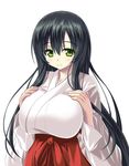  blue_hair blush breasts green_eyes hakama hand_on_breast huge_breasts iwato_kasumi japanese_clothes long_hair looking_down miko noritama_(gozen) red_hakama saki smile solo very_long_hair white_background 