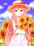  bad_id bad_pixiv_id bow braid cloud day dress flower green_eyes hat ia_(vocaloid) koishi_(0822xxx) long_hair pink_hair straw_hat sunflower vocaloid 