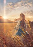 1girl absurdres amulet animal_ears atmospheric_perspective blue_dress blurry brown_hair brown_tail cloud depth_of_field dress english_commentary highres holo light_rays long_hair looking_at_viewer looking_back mountain mountainous_horizon nature nori_cent outdoors pouch sky solo spice_and_wolf standing star_and_crescent sunbeam sunlight sunset tail wheat wheat_field wolf wolf_ears wolf_girl wolf_tail 