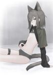  1girl absurdres animal_ear_fluff animal_ears bandaid bandaid_on_face bandaid_on_nose black_eyes bra cat_ears cat_girl cat_tail clothes_lift collared_shirt flat_chest grey_bra grey_hair grey_panties hai_(haihki) hair_between_eyes highres layered_sleeves lifting_own_clothes long_sleeves looking_at_viewer medium_hair mouth_hold original panties shirt shirt_lift simple_background sitting sleeves_past_wrists solo stomach tail thigh_strap training_bra underwear 