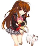  bad_id bad_pixiv_id bow brown_hair cat highres little_busters! long_hair natsume_rin pink_bow plaid plaid_skirt ponytail red_eyes school_uniform sennen_suisei skirt 